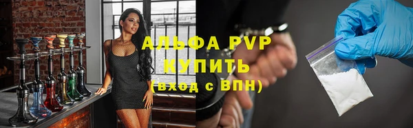 прущие грибы Новозыбков