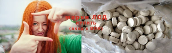прущие грибы Новозыбков