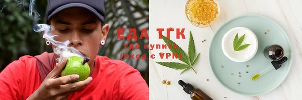 прущие грибы Новозыбков