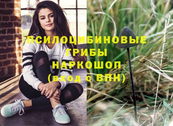 винт Нея