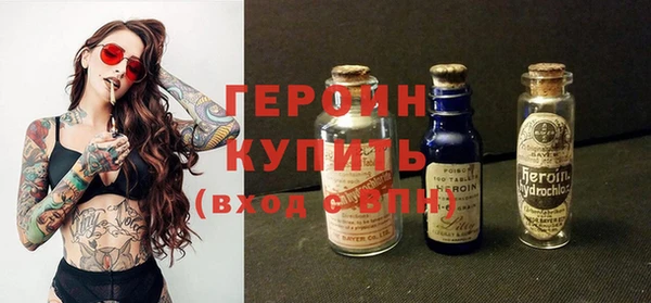прущие грибы Новозыбков