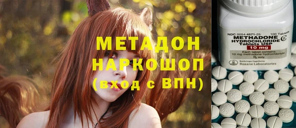прущие грибы Новозыбков