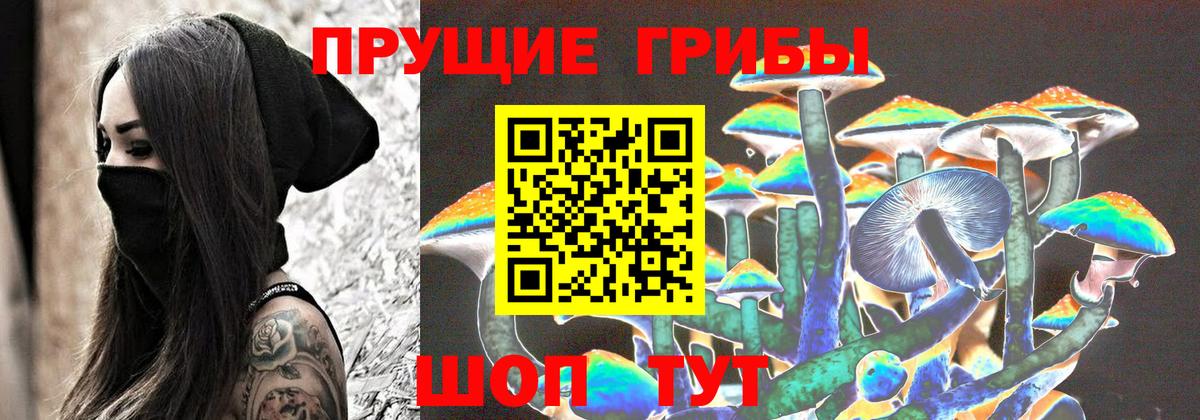 Псилоцибиновые грибы Cubensis Чусовой