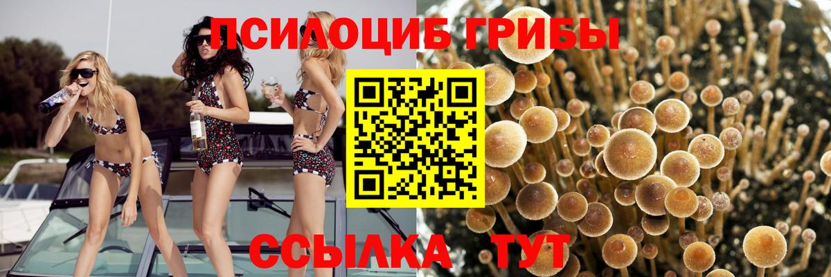 АМФЕТАМИН   Конопля  Меф МЯУ МЯУ кристаллы  ЭКСТАЗИ  Чусовой  Гашиш  ГАШ  Конопля  Альфа ПВП СОЛЬ   МЕФ  