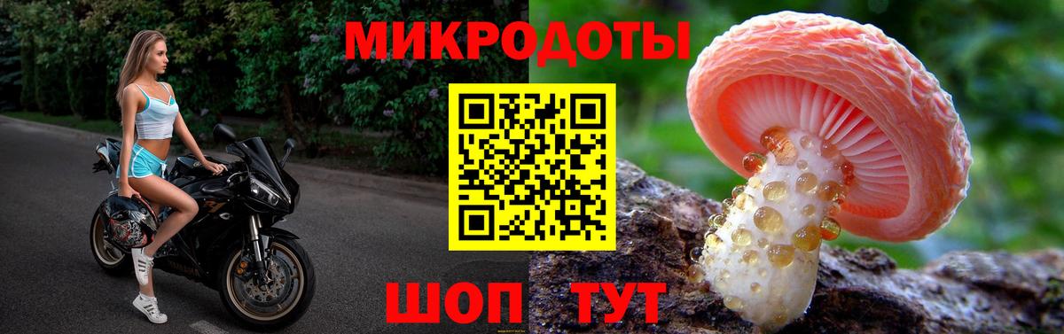 Чусовой  Галлюциногенные грибы Psilocybe  Вход с VPN  Галлюциногенные грибы мухоморы 