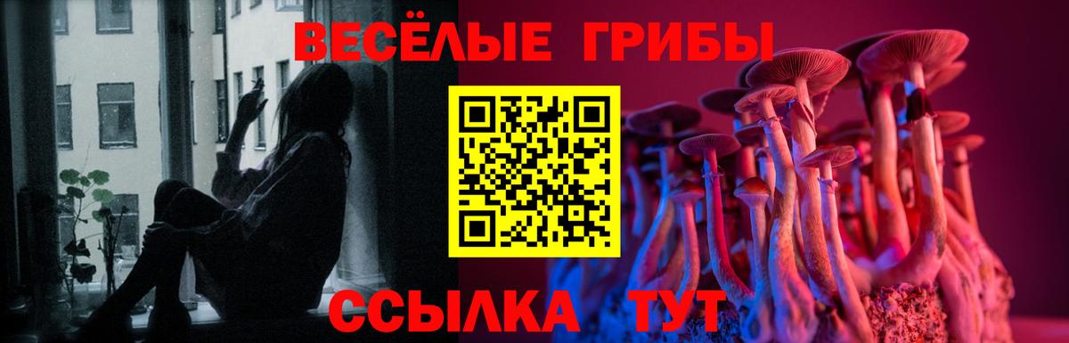 Псилоцибиновые грибы MAGIC MUSHROOMS  Чусовой 