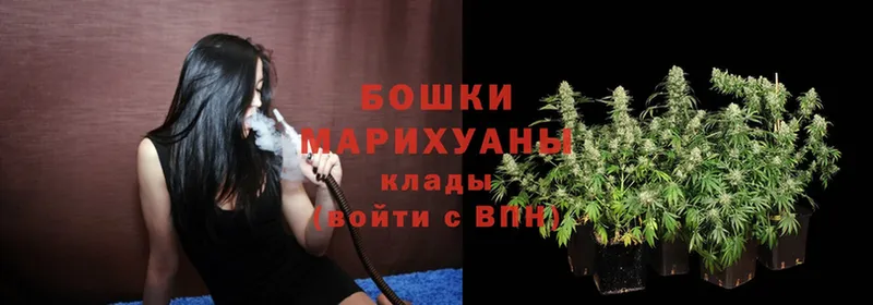 купить   Чусовой  Конопля Ganja 