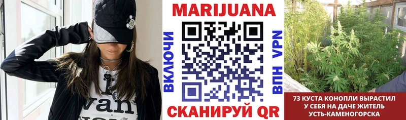 Каннабис индика  кракен tor  Чусовой  даркнет сайт 